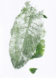 Biologische bladprint