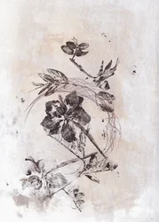 Sepia Botanical Flow