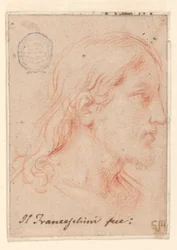 Hoofd van Christus