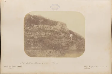 Gesneden in het Krijt, Olinda