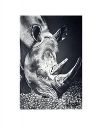 Krachtig grazen van neushoorns