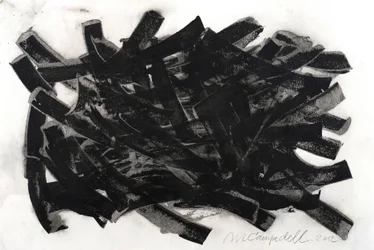Saltus, 2012 (inkt op papier)
