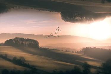 Vlucht boven de mistige, omgekeerde heuvels
