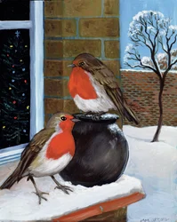 Roodborstjes in de sneeuw