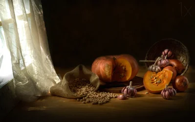 Herfstkeuken: de oogst