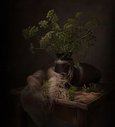 Donker botanisch stilleven
