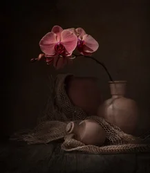 Stilleven met donkere orchidee