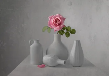Stilleven met delicate roze roos