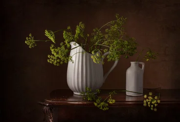 Stilleven met dillebloemen