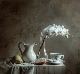 Elegant stilleven met orchideeën