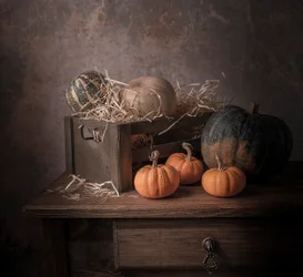 Rustieke herfstpompoenen