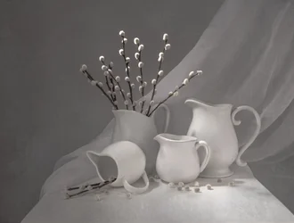 Lente-wilgenkannen