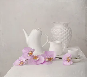 Stilleven met witte orchidee