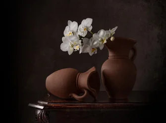 Stilleven met witte orchideeën