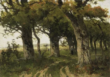 Eikenlaan in de nazomer. 1880-1900