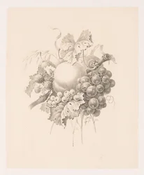 Compositie van vruchten
