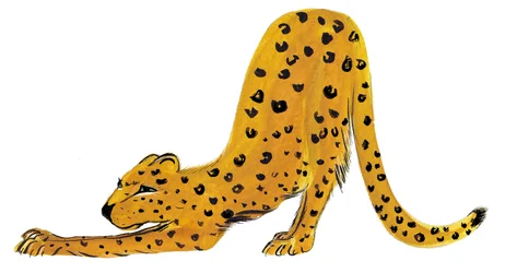 Big Cat Stretch, 2020 (aquarel op papier)