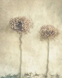 Rustieke gedroogde bloemen