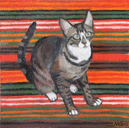 Tabby op strepen