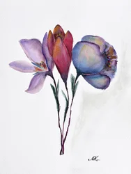 Kleurrijke aquarelbloemen