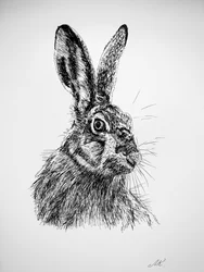 Tekening van een nieuwsgierig konijn