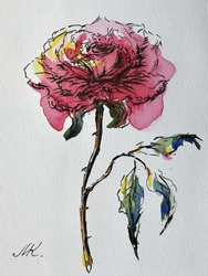 Expressieve roze roos