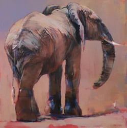 Achter, Loisaba, 2018