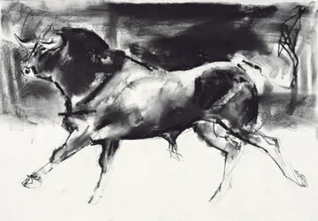 Zwarte stier