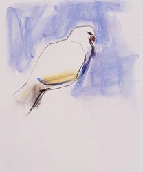 Duif, Trasierra, 1998