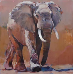 Droog Seizoen, Loisaba, 2018