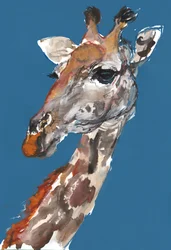 Dame Giraffe, 2018