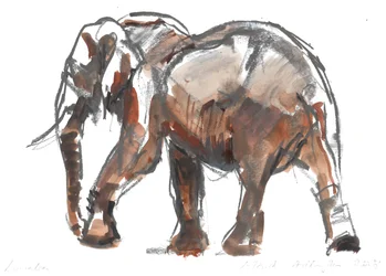 Loisaba conservancy, 2018