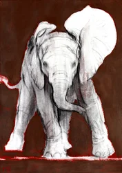 Eén Oor Omhoog, 2018