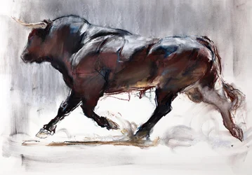 Rennende Stier, 2022