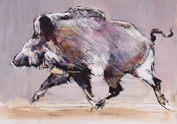Rennend Zwijn, 1999
