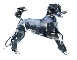 Pure klasse, 2013, (waterverf en gouache op papier)