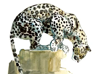 Ruggengraat (Arabische Luipaard), 2015