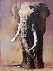 Tofauti, Chyulu Heuvels, 2018