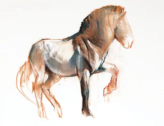 Draaiend (Przewalski)