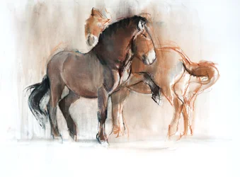 Twee (Przewalski)