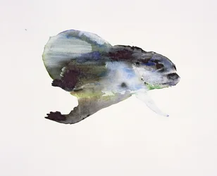 Onderwater