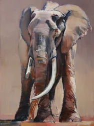 Eerbiedwaardige Oude Matriarch, 2018