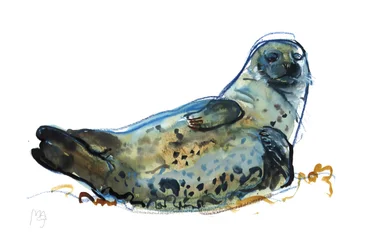 Westcove zeehond