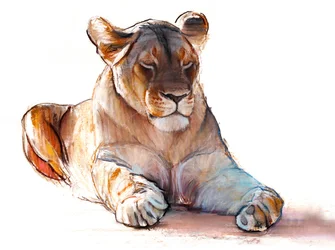 Yogi leeuwin, 2019