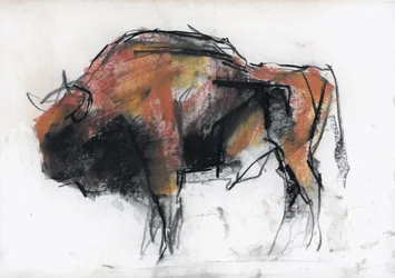 Bizon, Białowieża