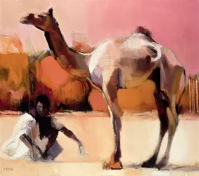 dsu en Said, Rann van Kutch, 1996