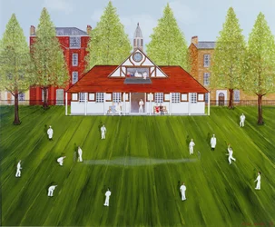 De cricketwedstrijd
