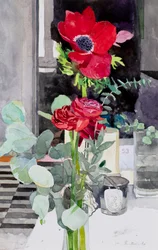 Klaprozen (aquarel)