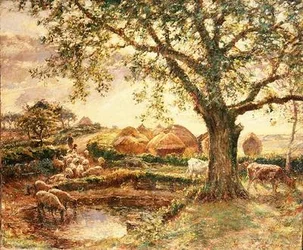 Hooibergen