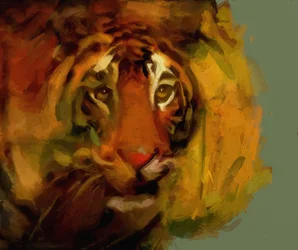 tijger